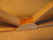 20060120_006.JPG (55333 bytes)