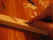 20060218_010.JPG (50997 bytes)