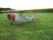 NX17WR.jpg (575152 bytes)