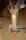 tailpost%20cut%20sm.jpg (122481 bytes)
