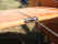 Brodhead _20070720_083.JPG (406559 bytes)