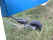DSCF0122.JPG (347156 bytes)
