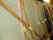Image1952.jpg (58249 bytes)