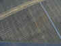 snf2011 007A.jpg (333274 bytes)