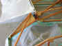 snf2011 009A.jpg (178845 bytes)