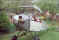 Air Camping33_jpg.jpg (153946 bytes)