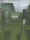 Mvc-021f.jpg (36862 bytes)
