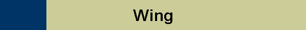 Wing