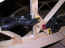 3-23-09 005_800x600.jpg (60003 bytes)
