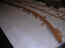 3-23-09 015_800x600.jpg (41586 bytes)