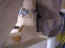 6-16-08 020_800x600.jpg (37657 bytes)