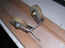 Bearings 005_800x600.jpg (71437 bytes)