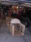 new piet 007_450x600.jpg (39284 bytes)