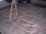 sawdust 013_800x600.jpg (56382 bytes)