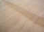 sawdust 036_800x600.jpg (29522 bytes)
