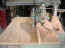 sawdust 047_800x600.jpg (76361 bytes)
