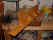 2002_0909_231001AA.JPG (769345 bytes)