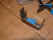 2002_1111_000757AA.JPG (366022 bytes)