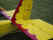 Air_Venture_2003_trip_105.jpg (73513 bytes)