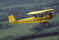 lw_piet.jpg (397514 bytes)