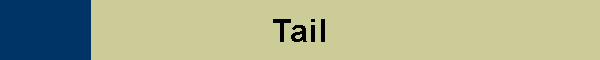 Tail