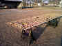 IMG00029-20100305-1734_1000x750.jpg (195096 bytes)