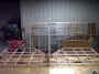 IMG00286-20100906-2032_1000x750.jpg (107315 bytes)
