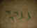 1.JPG (428675 bytes)