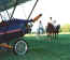 Piethorses1.jpg (58388 bytes)