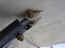 RR strut to wing view.jpg (1126972 bytes)