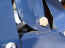 airspeed tubing coming out of bottom of RR cabane to ASI.jpg (1354741 bytes)