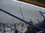 cabane and jury struts from below.jpg (1158055 bytes)