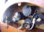 instrument backs, right-angle tach drive airspeed tube comin.jpg (1193540 bytes)