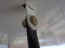 jury strut to wingjpg.JPG (1082956 bytes)