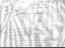 tailspring.jpg (62709 bytes)