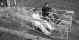 gadd.jpg (27335 bytes)