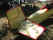 Brodhead _20070720_030.JPG (571625 bytes)