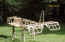 DSCN3580 adj.jpg (874502 bytes)