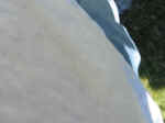 IMG_5501.JPG (1679899 bytes)