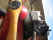 Brodhead _20070720_135.JPG (512798 bytes)