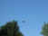 Brodhead _20070721_228.JPG (402342 bytes)