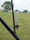 Brodhead2008_025.JPG (409193 bytes)