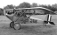 yesterdayswings.gif (76764 bytes)
