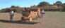 yw13.gif (55596 bytes)