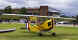 g-piet-4.jpg (17247 bytes)